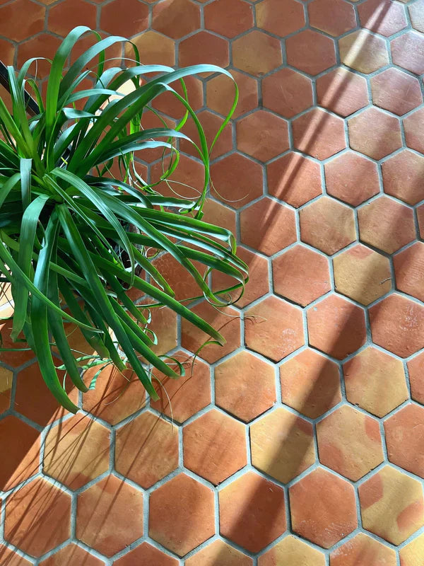 Hexagon Smooth Gloss 6"
